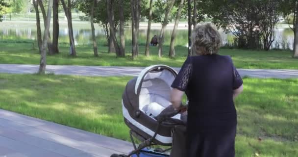 La nonna sta facendo rotolare un passeggino. — Video Stock