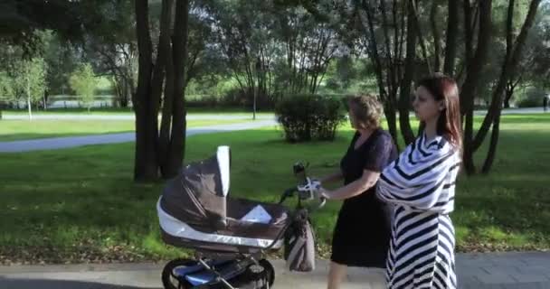 Giovane madre con la sua mamma nel parco — Video Stock