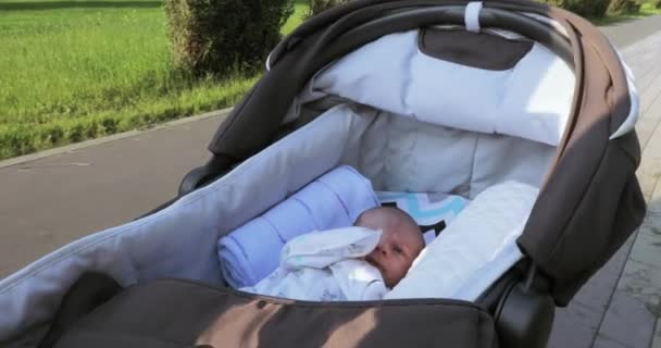 Im Rollstuhl das Baby — Stockvideo