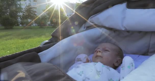 In de rolstoel de baby — Stockvideo