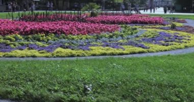 Çiçek ve şehir parkı çalıların ağaçlarıyla