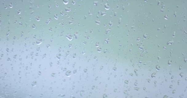 Rain drops on the glass — Stock Video