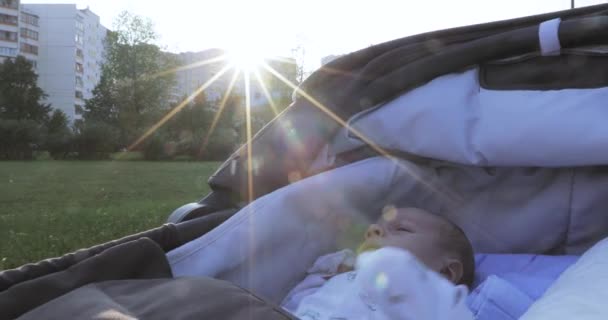 赤ちゃんの車椅子 — ストック動画