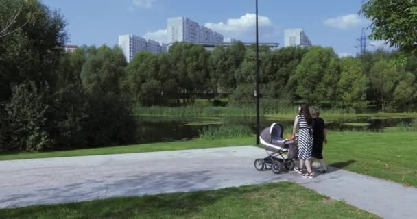 Giovane madre con la sua mamma nel parco — Video Stock