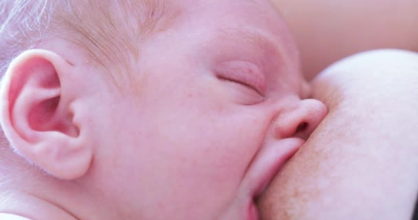 Ребенок спит во время кормления грудью — стоковое видео