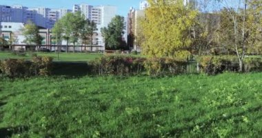 Gevşeme ve çim için park alanı