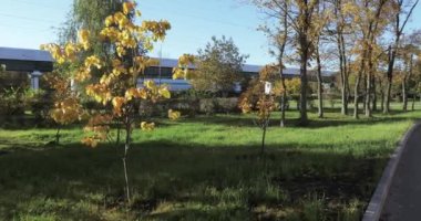 Bakımlı park ve yaya sokakları
