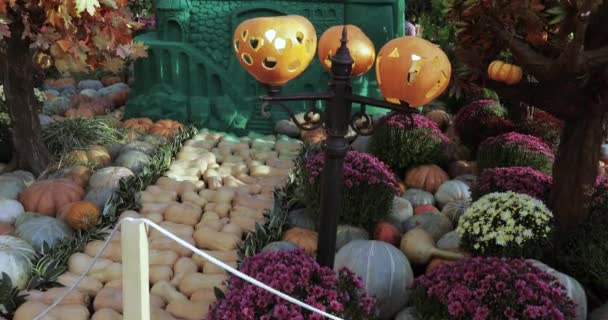 Ulicy jesienny Festiwal gastronomiczny "Złota Jesień" — Wideo stockowe
