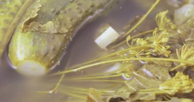 Dereotu ile salatalık turşu