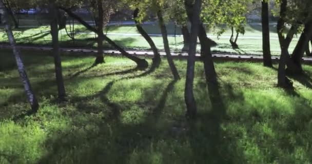 Passerelle en bois à la lumière du soleil du matin dans le parc de la ville de Butovo Sud 