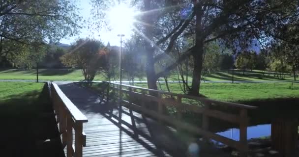 Puente de madera sobre el arroyo — Vídeos de Stock