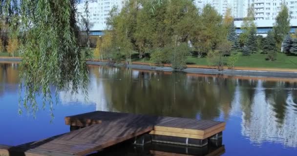 Дерев'яний пірс на ставку — стокове відео