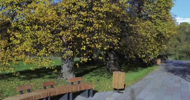 Allée et bancs dans le parc de la ville — Video