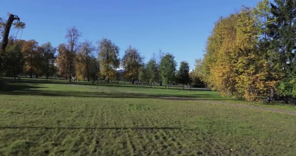 Staden Landskap Childrens Park Södra Butovo Cykel Och Löparbana Bland — Stockvideo