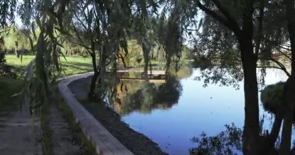 Wooden pier on the pond — Stock Video