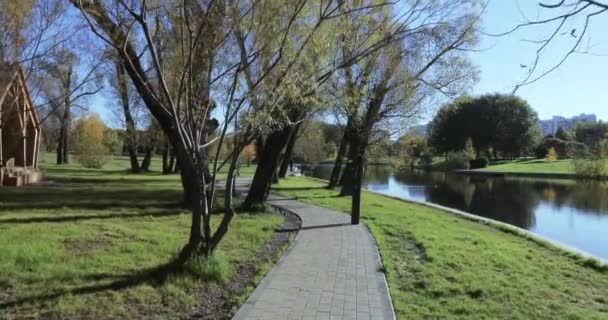 Callejón cerca de estanque en el parque de la ciudad — Vídeo de stock