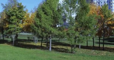 Şehir parkındaki sokak.