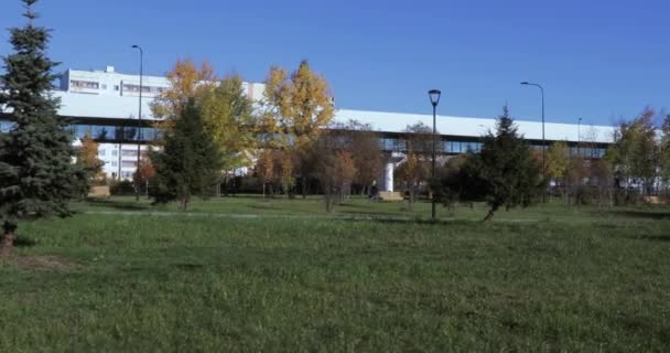 Metro de superficie sobre el parque — Vídeo de stock