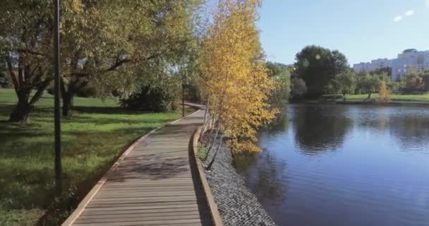 Plataforma de madera en la orilla del estanque — Vídeo de stock