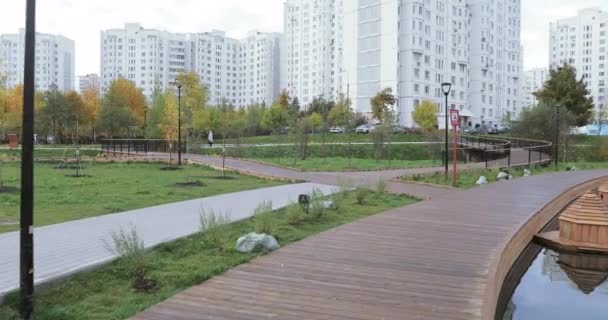 Plate-forme en bois sur la rive de l'étang — Video