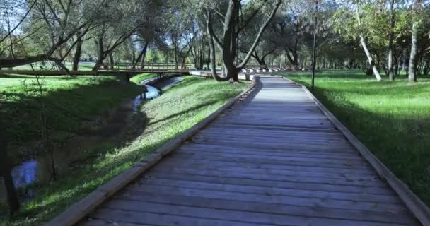 Chemin de randonnée en bois au lever du soleil — Video