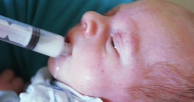 Yapay alt, bir şırınga ile besleme