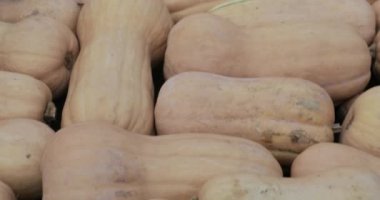Dekoratif sokak sonbahar Gastronomi Festivali 