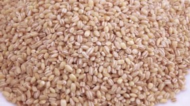 Pearl arpa zararlıları ile