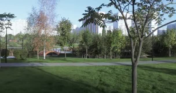 Sikátor a városi parkban — Stock videók