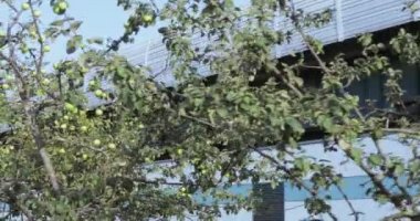 Meyve bahçesi metro yakınındaki