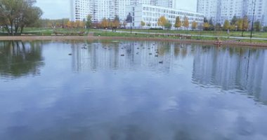 Lanshaftny Childrens Park South Butovo 'da küçük bir gölet ve ördekler için ahşap bir ev var.