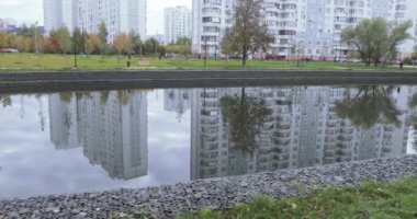 Şehir parkında gölet