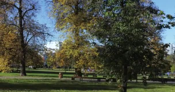 Gata och bänkar i stadsparken — Stockvideo