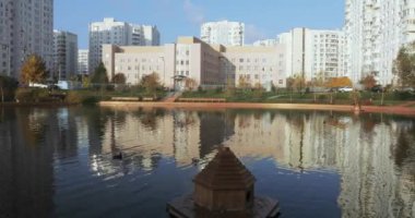 Parktaki göldeki ördekler
