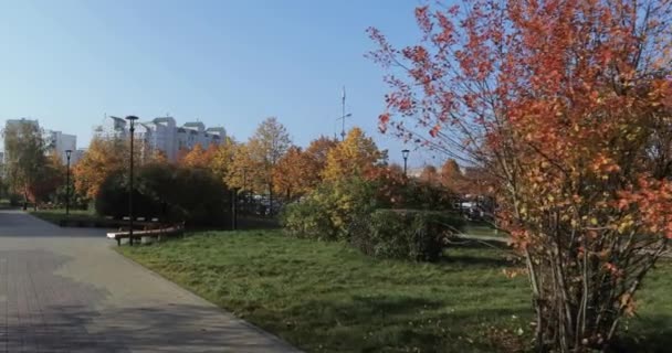 Een aantal banken in het park — Stockvideo