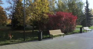 Banklar parkta bir dizi