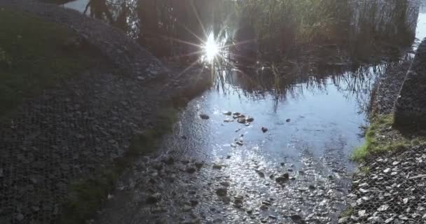 Каскадный пруд в парке — стоковое видео