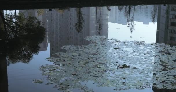 고층 주택 물에의 반영 — 비디오
