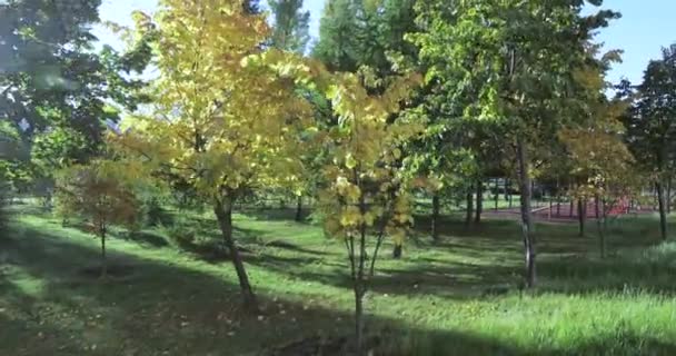 Parc d'automne au lever du soleil 