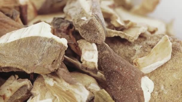 Cogumelos brancos secos — Vídeo de Stock