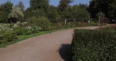 çalılar rakamları