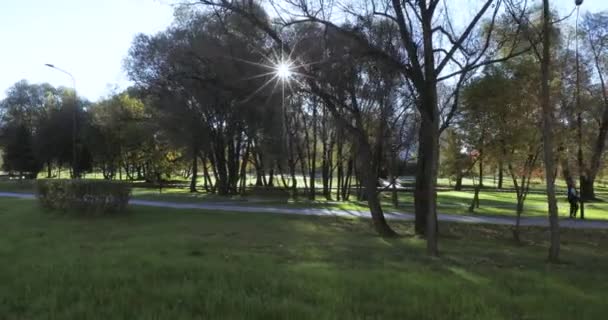 Parque de otoño al amanecer — Vídeo de stock