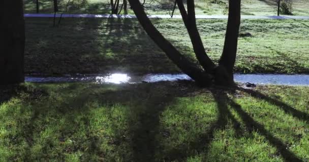 城市公园的溪流 — 图库视频影像