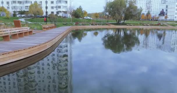 Enten in einem Teich im Park — Stockvideo