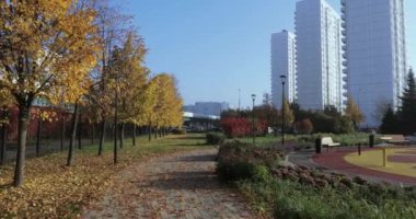 Şehir parkındaki sokak.