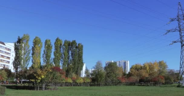 Линия электропередачи в парке — стоковое видео