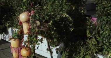 Dekoratif sokak sonbahar Gastronomi Festivali 