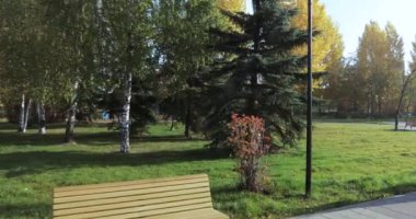 Banklar parkta bir dizi