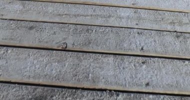 Frost ahşap kurullarında