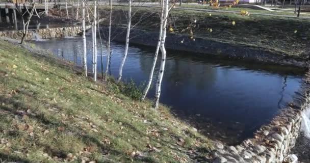 Estanque en cascada en el parque — Vídeos de Stock